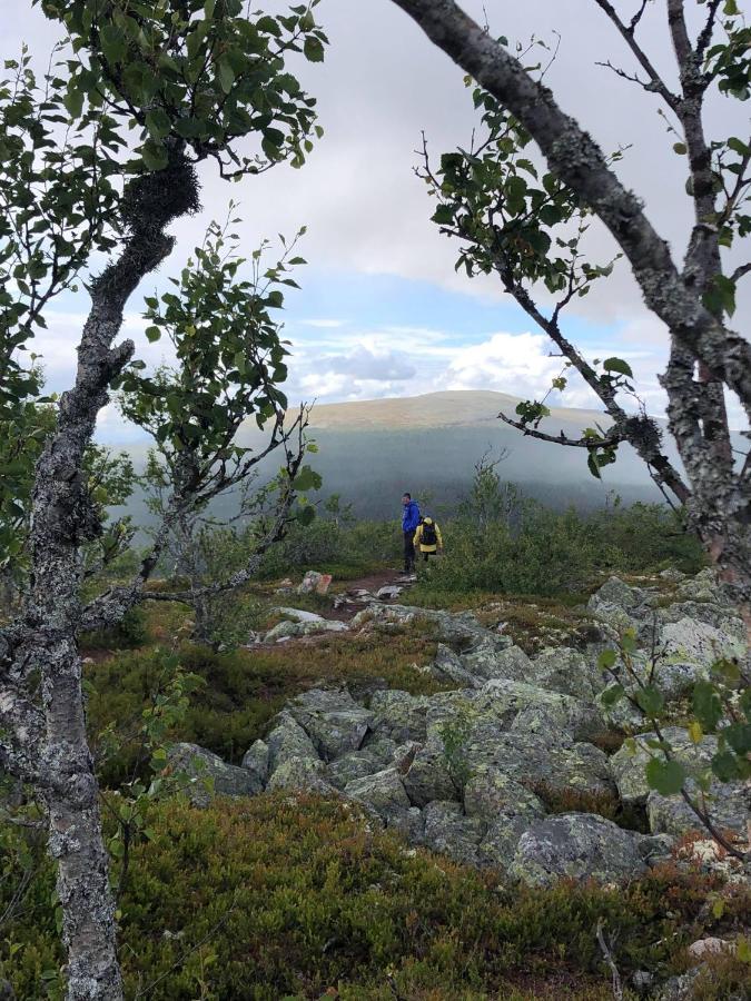 Villa Sole, Trysil Exteriér fotografie